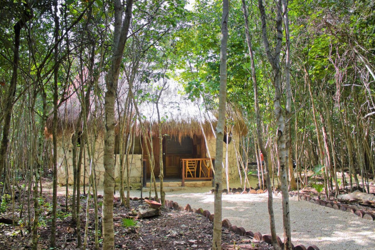 Aldea Maya-Ha Cabanas Con Cenotes Puerto Morelos Zewnętrze zdjęcie