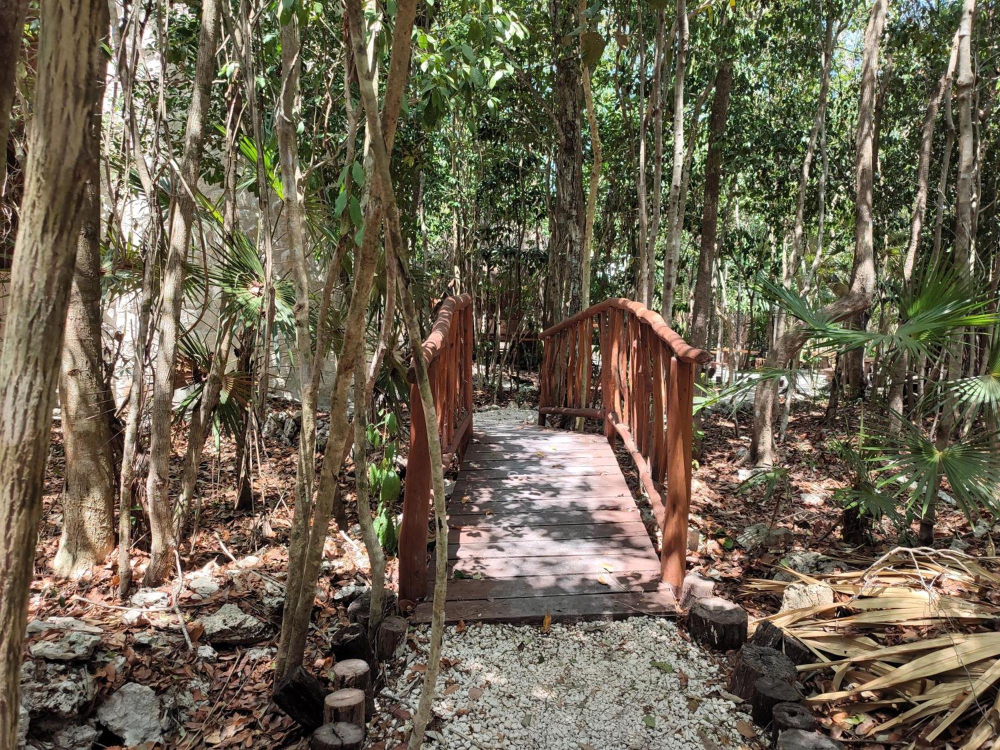 Aldea Maya-Ha Cabanas Con Cenotes Puerto Morelos Zewnętrze zdjęcie