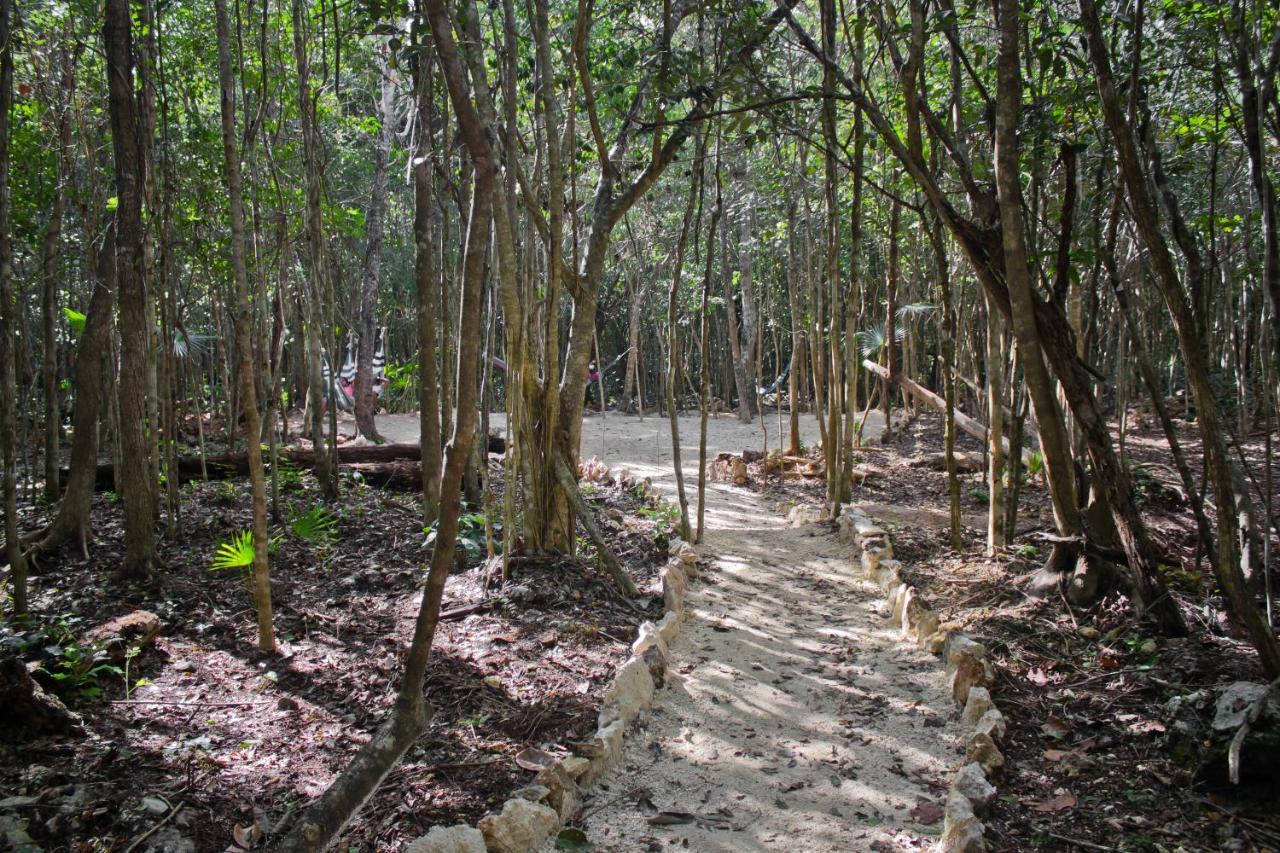 Aldea Maya-Ha Cabanas Con Cenotes Puerto Morelos Zewnętrze zdjęcie